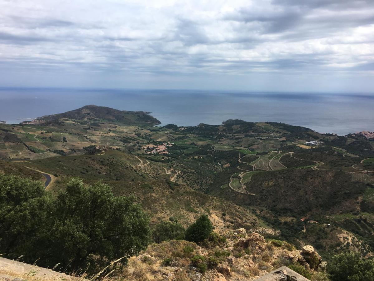 Vue Mer Panoramique Exceptionnelle L T2 Mezzanine Luxueux Banyuls-sur-Mer Extérieur photo
