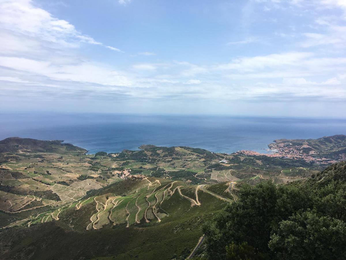 Vue Mer Panoramique Exceptionnelle L T2 Mezzanine Luxueux Banyuls-sur-Mer Extérieur photo